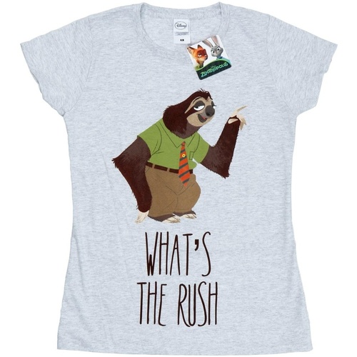 textil Mujer Camisetas manga larga Disney Zootropolis What's The Rush Gris
