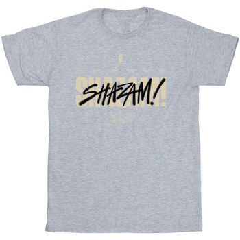 textil Hombre Camisetas manga larga Dc Comics Shazam Fury Of The Gods Vandalised Logo Gris