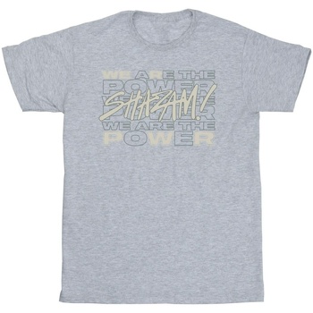 textil Hombre Camisetas manga larga Dc Comics Shazam Fury Of The Gods We Are The Power Gris
