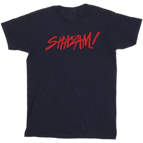 textil Hombre Camisetas manga larga Dc Comics Shazam Fury Of The Gods Spray Paint Logo Azul
