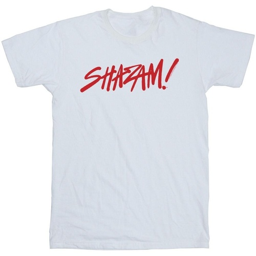 textil Hombre Camisetas manga larga Dc Comics Shazam Fury Of The Gods Spray Paint Logo Blanco