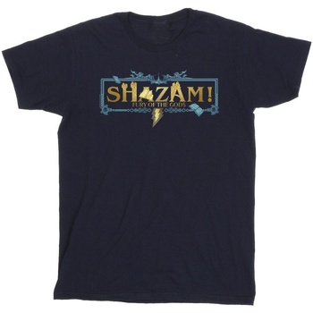textil Hombre Camisetas manga larga Dc Comics Shazam Fury Of The Gods Golden Logo Azul