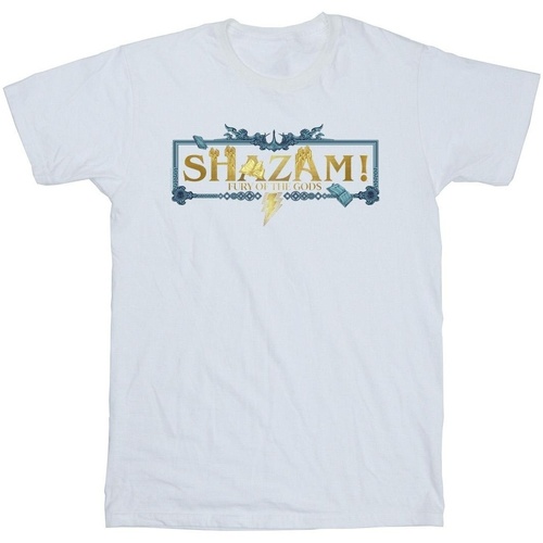 textil Hombre Camisetas manga larga Dc Comics Shazam Fury Of The Gods Golden Logo Blanco
