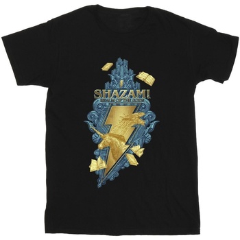 textil Hombre Camisetas manga larga Dc Comics Shazam Fury Of The Gods Golden Animal Bolt Negro