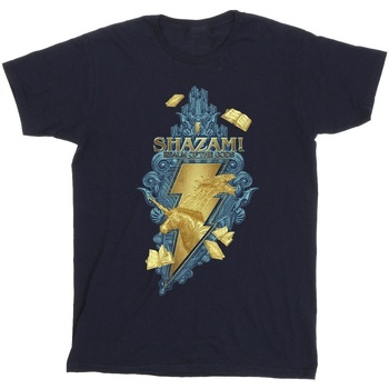 textil Hombre Camisetas manga larga Dc Comics Shazam Fury Of The Gods Golden Animal Bolt Azul
