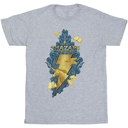 textil Hombre Camisetas manga larga Dc Comics Shazam Fury Of The Gods Golden Animal Bolt Gris