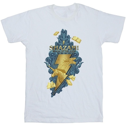 textil Hombre Camisetas manga larga Dc Comics Shazam Fury Of The Gods Golden Animal Bolt Blanco