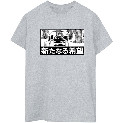 textil Mujer Camisetas manga larga Disney R2D2 Japanese Gris