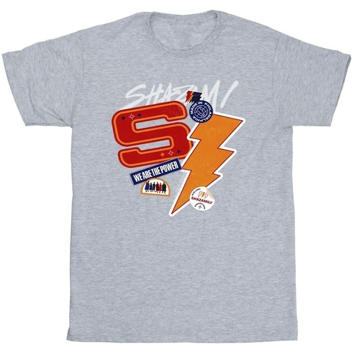 textil Hombre Camisetas manga larga Dc Comics Shazam Fury Of The Gods Sticker Spam Gris