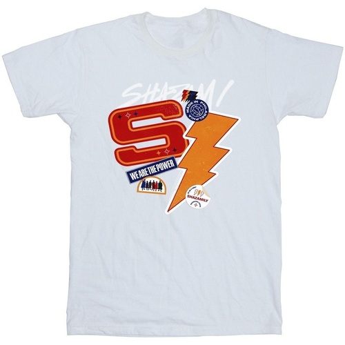 textil Hombre Camisetas manga larga Dc Comics Shazam Fury Of The Gods Sticker Spam Blanco