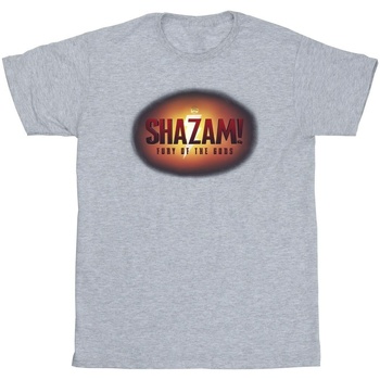 textil Hombre Camisetas manga larga Dc Comics Shazam Fury Of The Gods 3D Logo Flare Gris