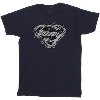 textil Hombre Camisetas manga larga Dc Comics Superman Logo Sketch Azul