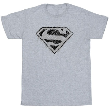textil Hombre Camisetas manga larga Dc Comics Superman Logo Sketch Gris