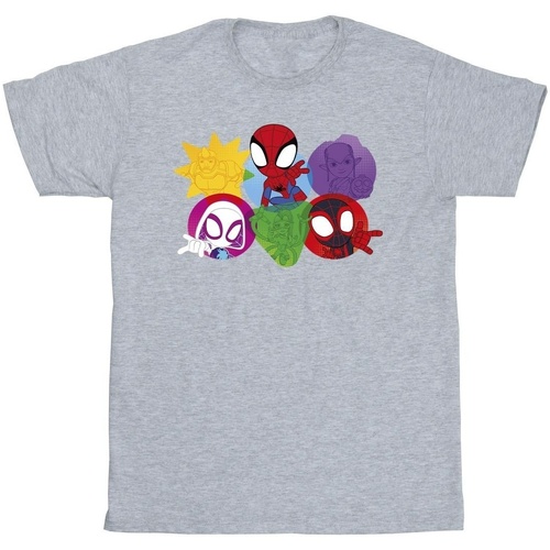 textil Hombre Camisetas manga larga Marvel Spidey And His Amazing Friends Faces Gris