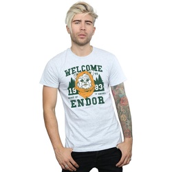 textil Hombre Camisetas manga larga Disney Endor Camp Gris