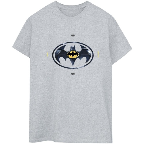 textil Mujer Camisetas manga larga Dc Comics The Flash Batman Metal Logo Gris