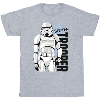textil Hombre Camisetas manga larga Disney Storm Trooper Gris