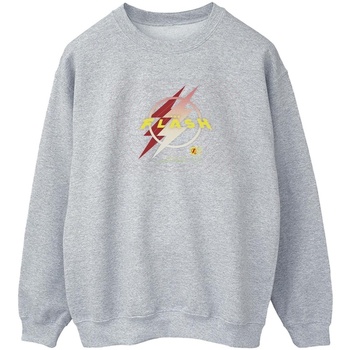 textil Hombre Sudaderas Dc Comics The Flash Lightning Logo Gris