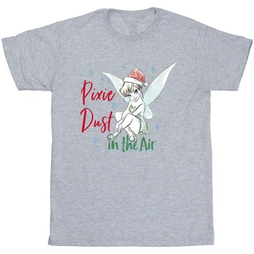 textil Hombre Camisetas manga larga Disney Tinker Bell Pixie Dust Gris