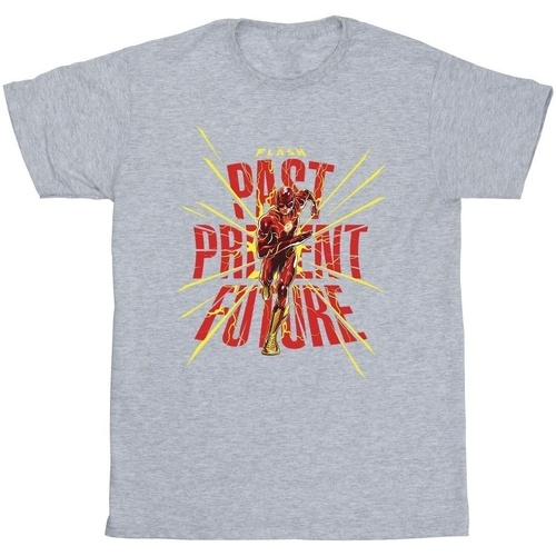 textil Hombre Camisetas manga larga Dc Comics The Flash Past Present Future Gris