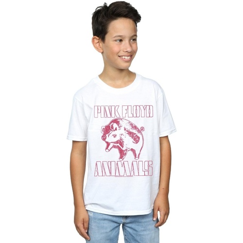 textil Niño Tops y Camisetas Pink Floyd Animals Algie Blanco