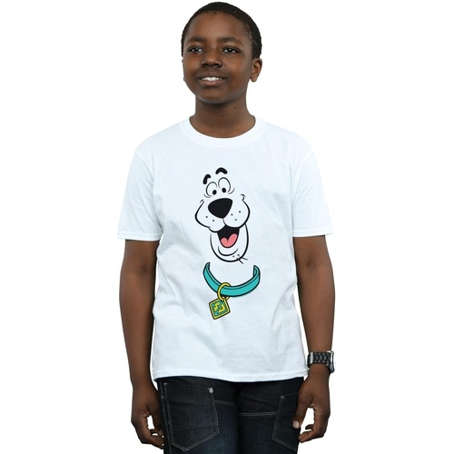 textil Niño Camisetas manga corta Scooby Doo Big Face Blanco