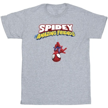 textil Niño Camisetas manga corta Marvel Spider-Man Hanging Upside Down Gris