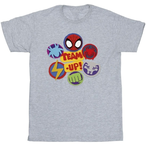 textil Niño Camisetas manga corta Marvel Spidey And His Amazing Friends Team Up Gris
