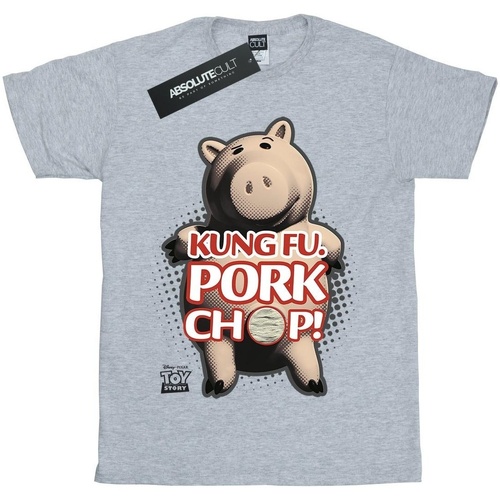 textil Niña Camisetas manga larga Disney Toy Story Kung Fu Pork Chop Gris