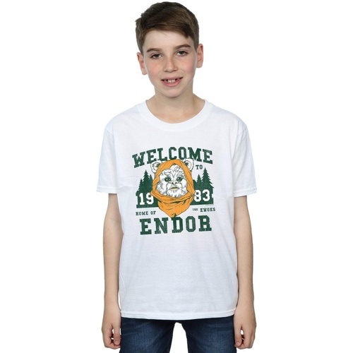 textil Niño Camisetas manga corta Disney Endor Camp Blanco