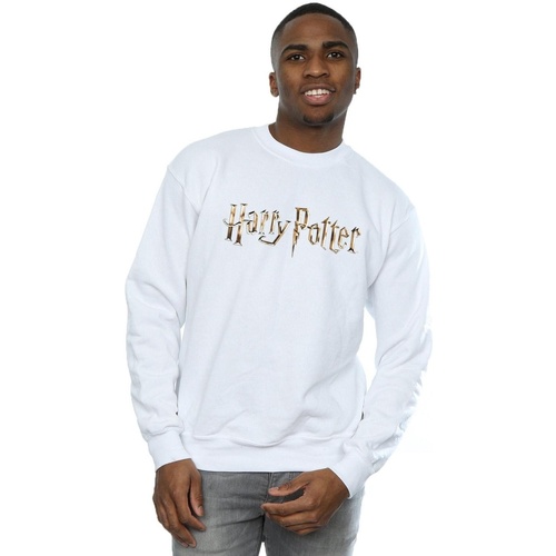textil Hombre Sudaderas Harry Potter Full Colour Logo Blanco