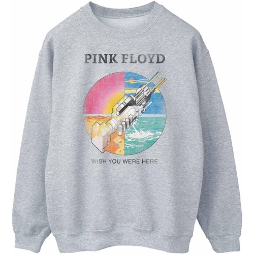 textil Hombre Sudaderas Pink Floyd Wish You Were Here Gris