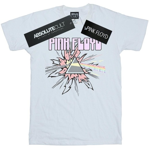 textil Mujer Camisetas manga larga Pink Floyd Pastel Triangle Blanco