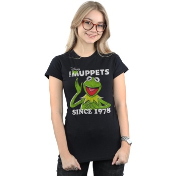 Disney The Muppets Kermit Since 1978 Negro