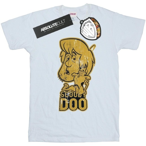textil Mujer Camisetas manga larga Scooby Doo And Shaggy Blanco