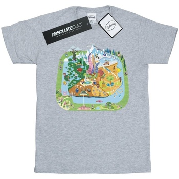 textil Hombre Camisetas manga larga Disney Zootropolis City Gris