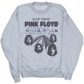 textil Hombre Sudaderas Pink Floyd  Gris