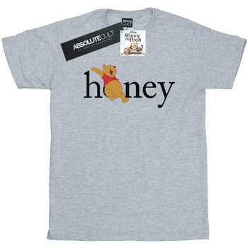 textil Niña Camisetas manga larga Disney Winnie The Pooh Honey Gris