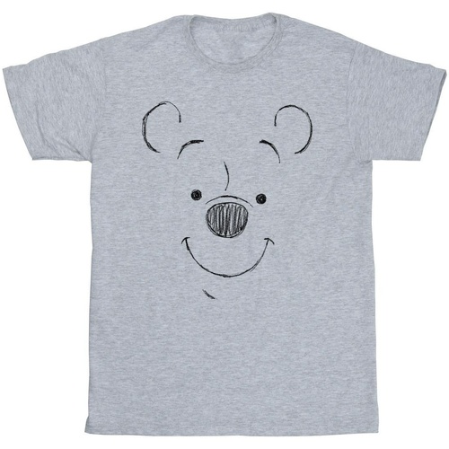 textil Niña Camisetas manga larga Disney Winnie The Pooh Winnie The Pooh Face Gris
