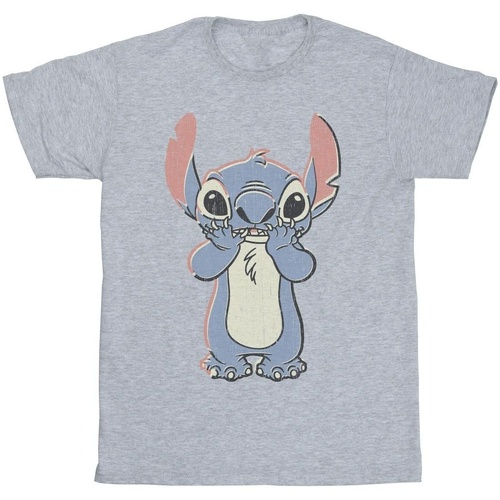 textil Hombre Camisetas manga larga Disney Lilo And Stitch Big Print Gris