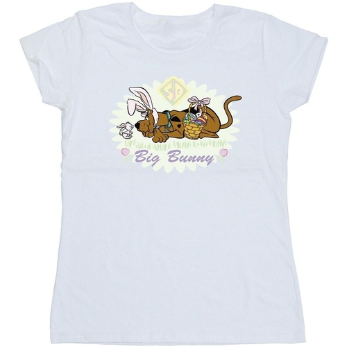 textil Mujer Camisetas manga larga Scooby Doo Big Bunny Blanco