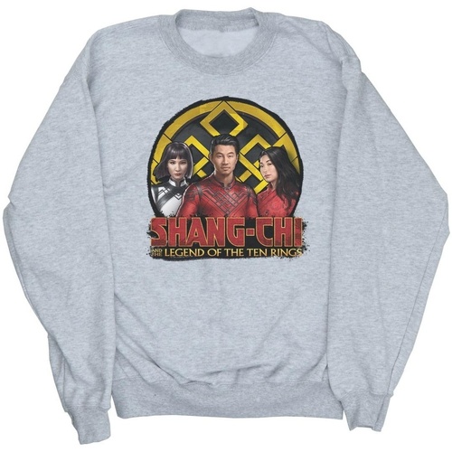 textil Niño Sudaderas Marvel Shang-Chi And The Legend Of The Ten Rings Group Logo Emblem Gris