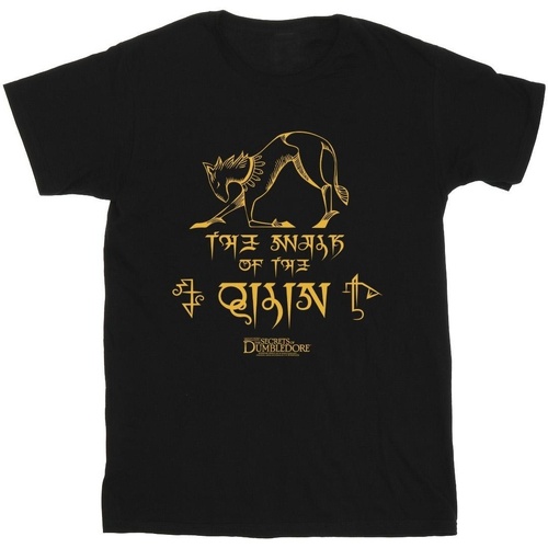textil Niña Camisetas manga larga Fantastic Beasts: The Secrets Of Magic Hieroglyphs Negro