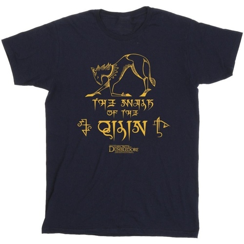 textil Niña Camisetas manga larga Fantastic Beasts: The Secrets Of Magic Hieroglyphs Azul