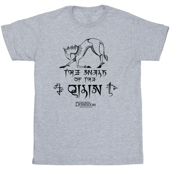 textil Niña Camisetas manga larga Fantastic Beasts: The Secrets Of Magic Hieroglyphs Gris
