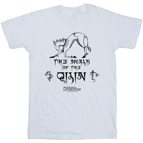 textil Niña Camisetas manga larga Fantastic Beasts: The Secrets Of Magic Hieroglyphs Blanco