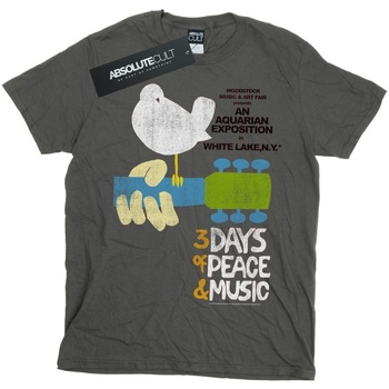textil Niño Camisetas manga corta Woodstock Festival Poster Multicolor