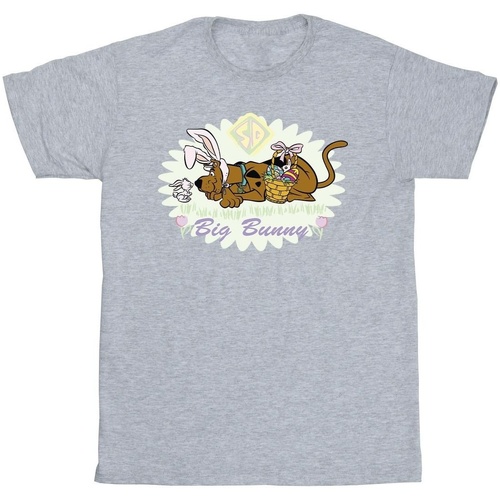 textil Niño Tops y Camisetas Scooby Doo Big Bunny Gris