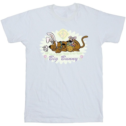 textil Niño Camisetas manga corta Scooby Doo Big Bunny Blanco
