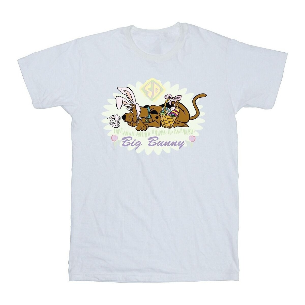 textil Niño Camisetas manga corta Scooby Doo Big Bunny Blanco